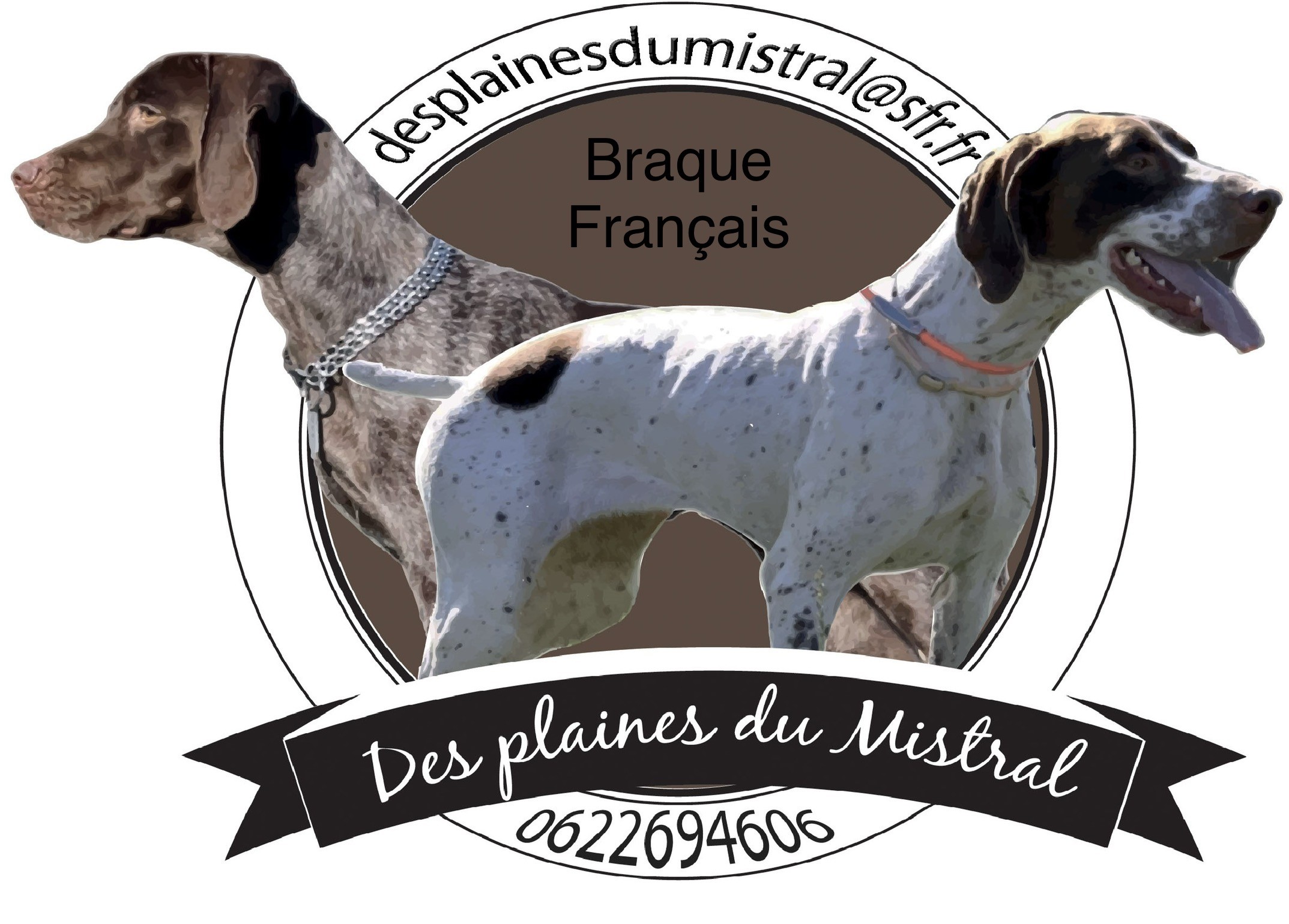 Des Plaines Du Mistral